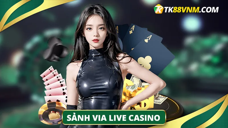 Sảnh VIA Live Casino